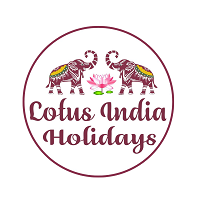 Best Travel Agency i...