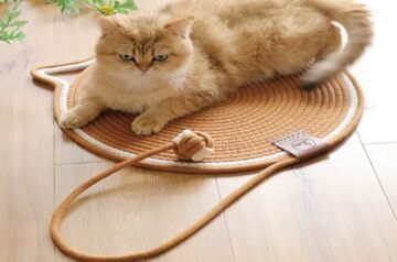 Why Every Cat Owner in the USA Needs a Cat Scratching Mat Today