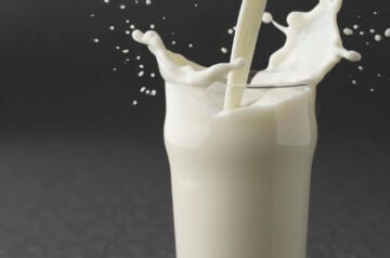 Daily Dose of Calcium Without the Fat – Facts You Should Know